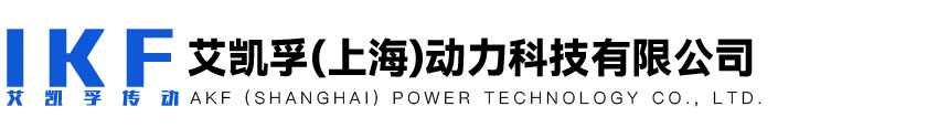 艾凱孚（上海）動力科技有限公司